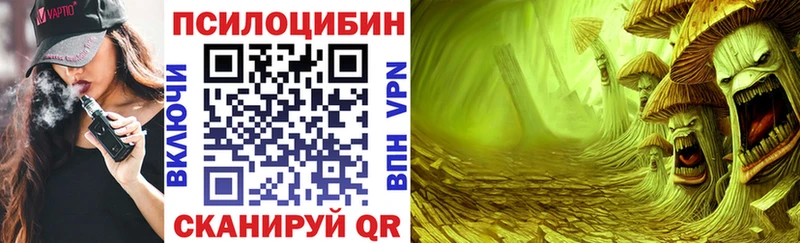 Галлюциногенные грибы мухоморы  наркошоп  Киселёвск 