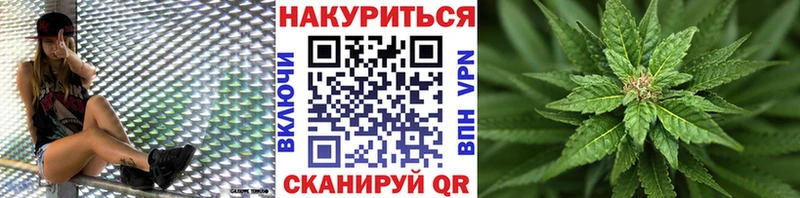Бошки марихуана VHQ  что такое наркотик  Киселёвск 
